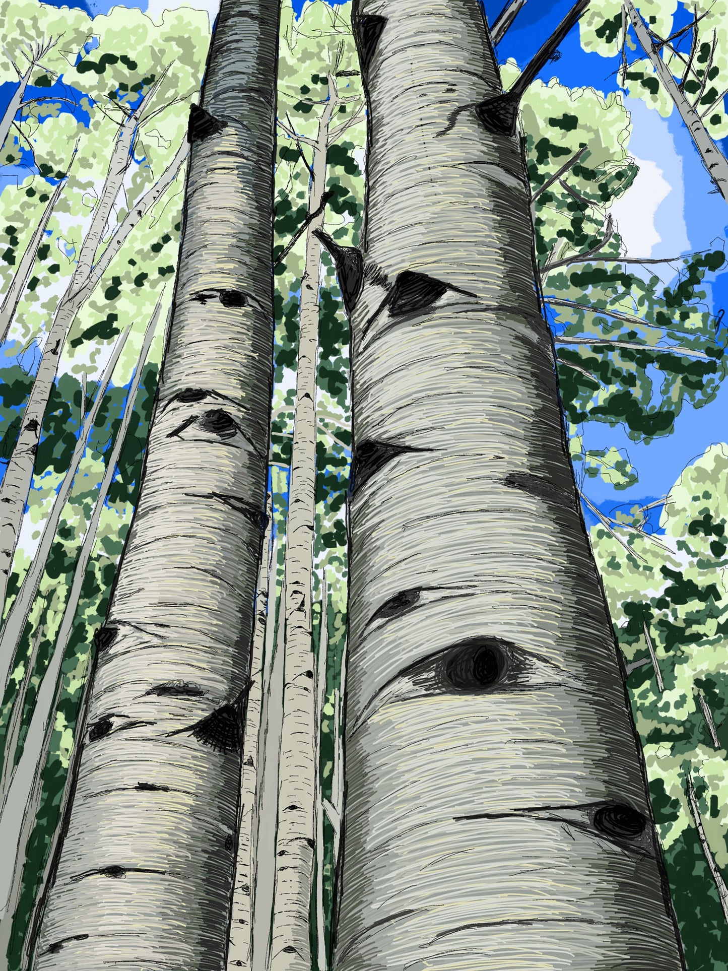 Crested Butte Aspens
