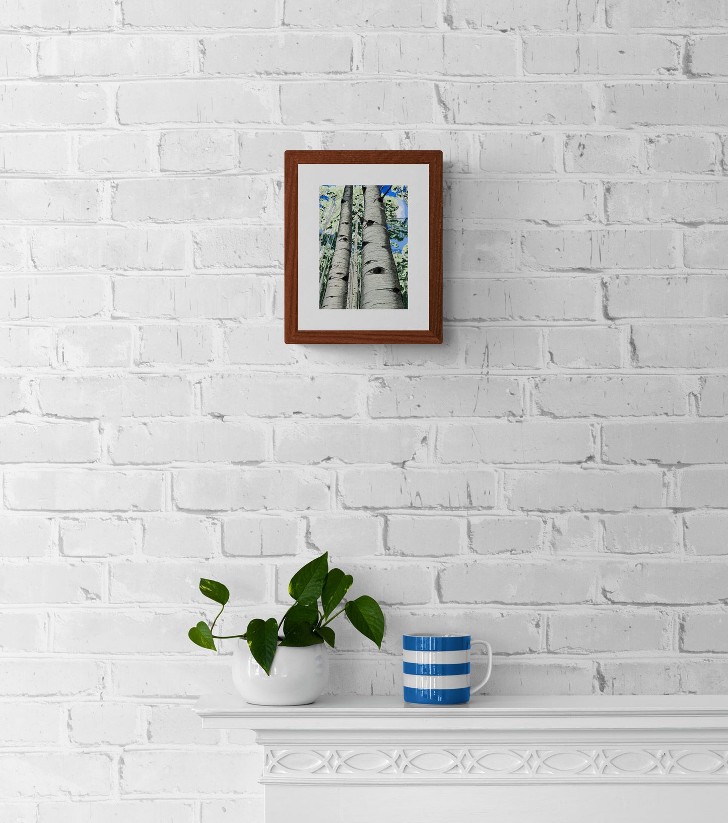 Crested Butte Aspens