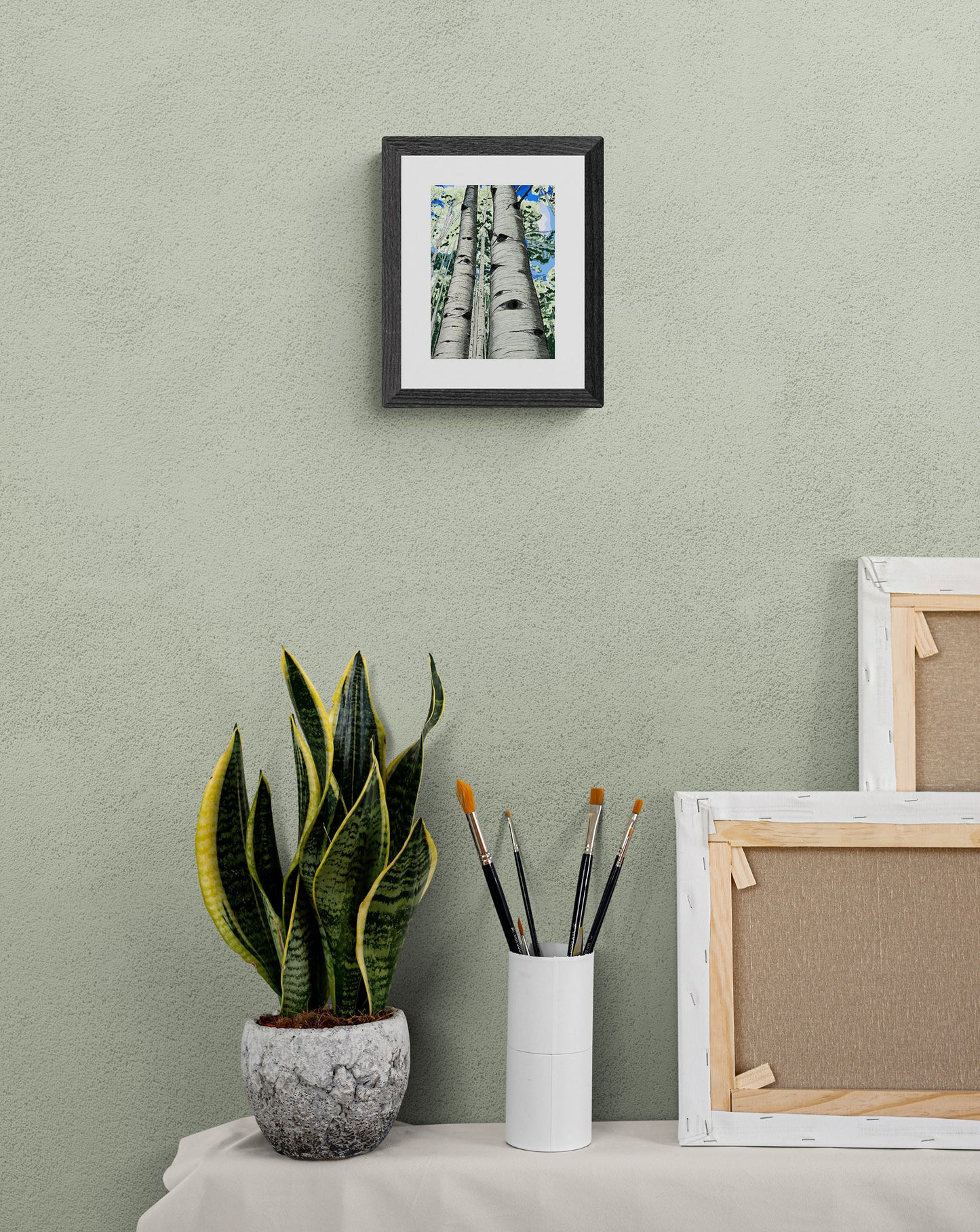 Crested Butte Aspens